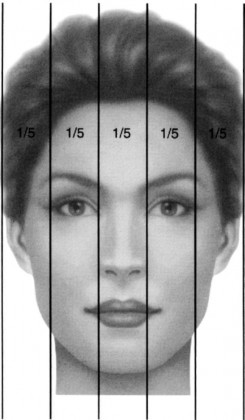 aesthetic facial analysis for rhinoplasty 2