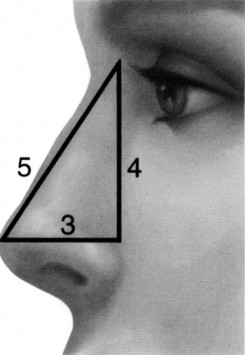 aesthetic facial analysis for rhinoplasty 3