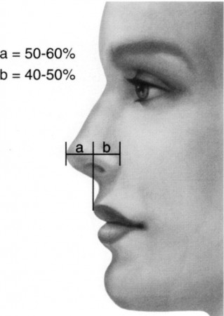 aesthetic facial analysis for rhinoplasty 10