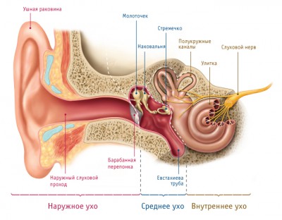 Синдром зияющей слуховой трубы лечение
